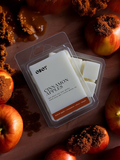 Wax Melts- the Fall & Halloween Collection